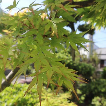 立花荘 Villa Matsuyama  Bagian luar foto