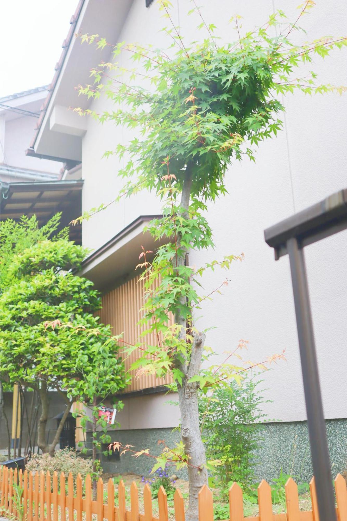 立花荘 Villa Matsuyama  Bagian luar foto
